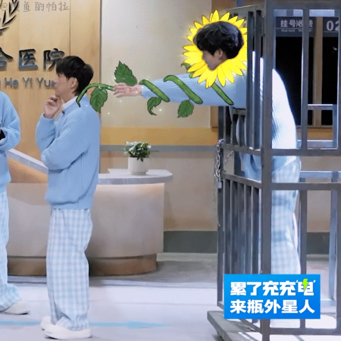 何炅好宠魏大勋  魏大勋在笼子里cos向日葵 魏大勋怎么又进铁笼子了，还在背后袭