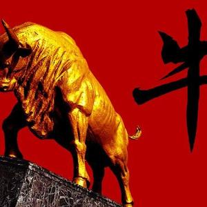 放牛娃投资之路