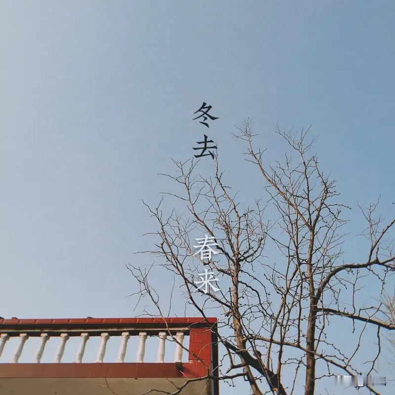 见“琴棋书画门门晓”上联
勾勒出多才多艺之形象
下联选择众多
“柴米油盐样样香”