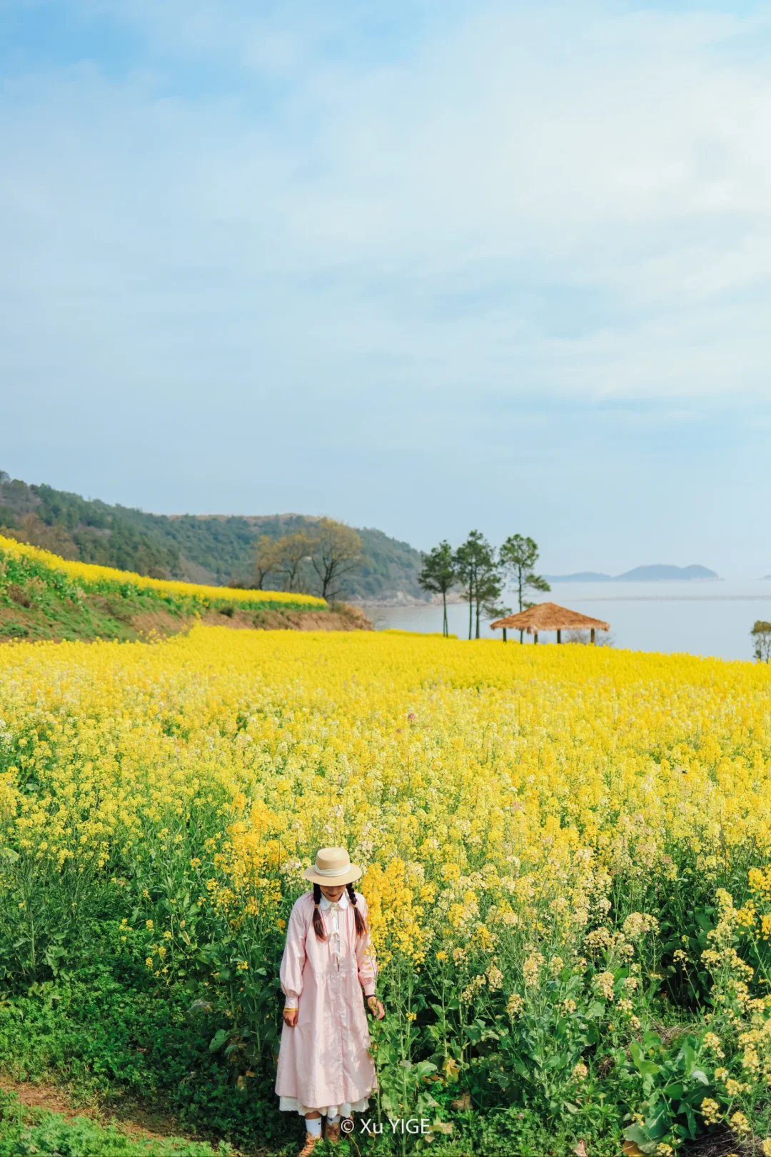 春日赏花｜心心念念钱仓海边的这片油菜花开