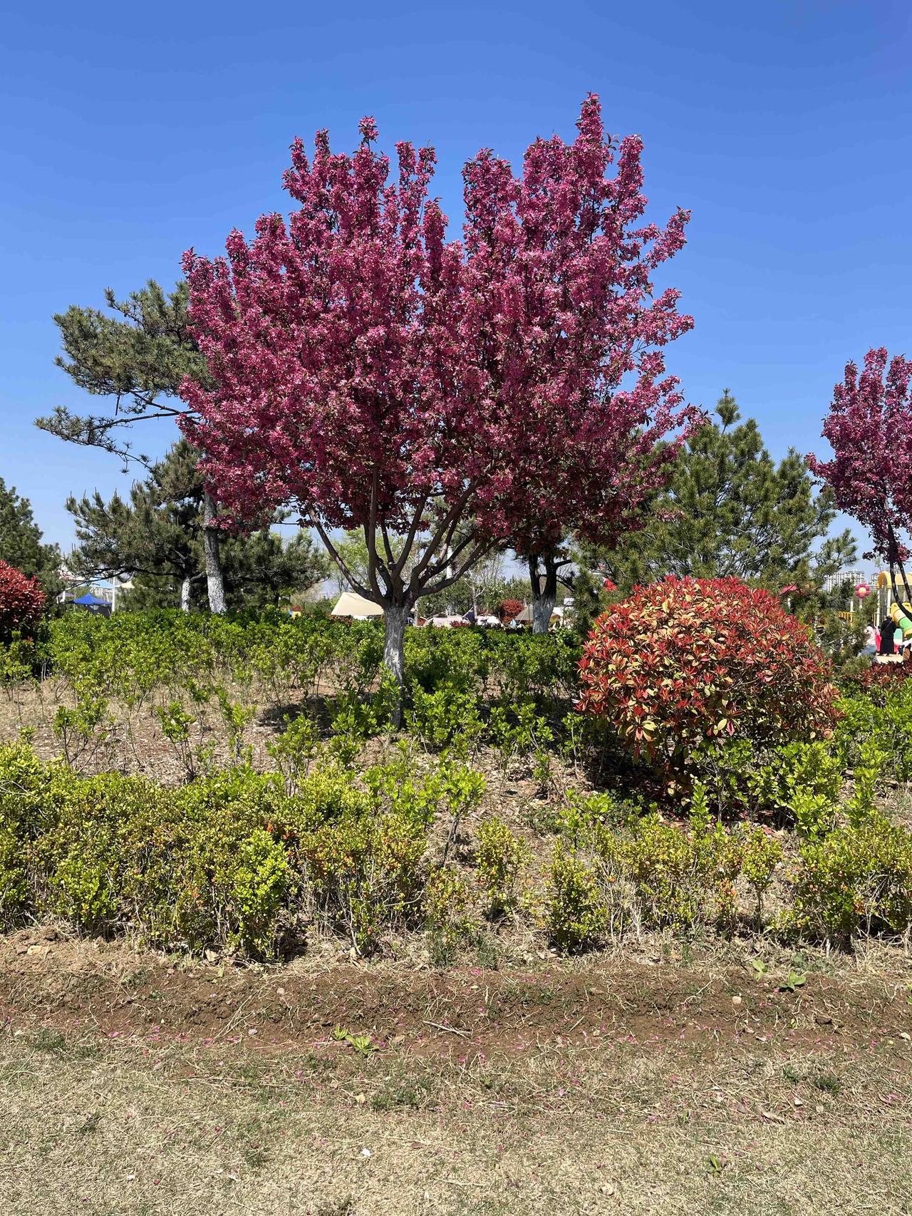 今天天气特别好，带孩子去滨河边上踏青游玩，
没想到却遇到了令人恶心的一幕，两个相
