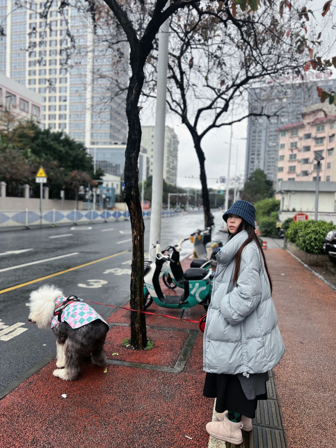 养狗人养狗魂！让看看你们冬天遛狗照片！