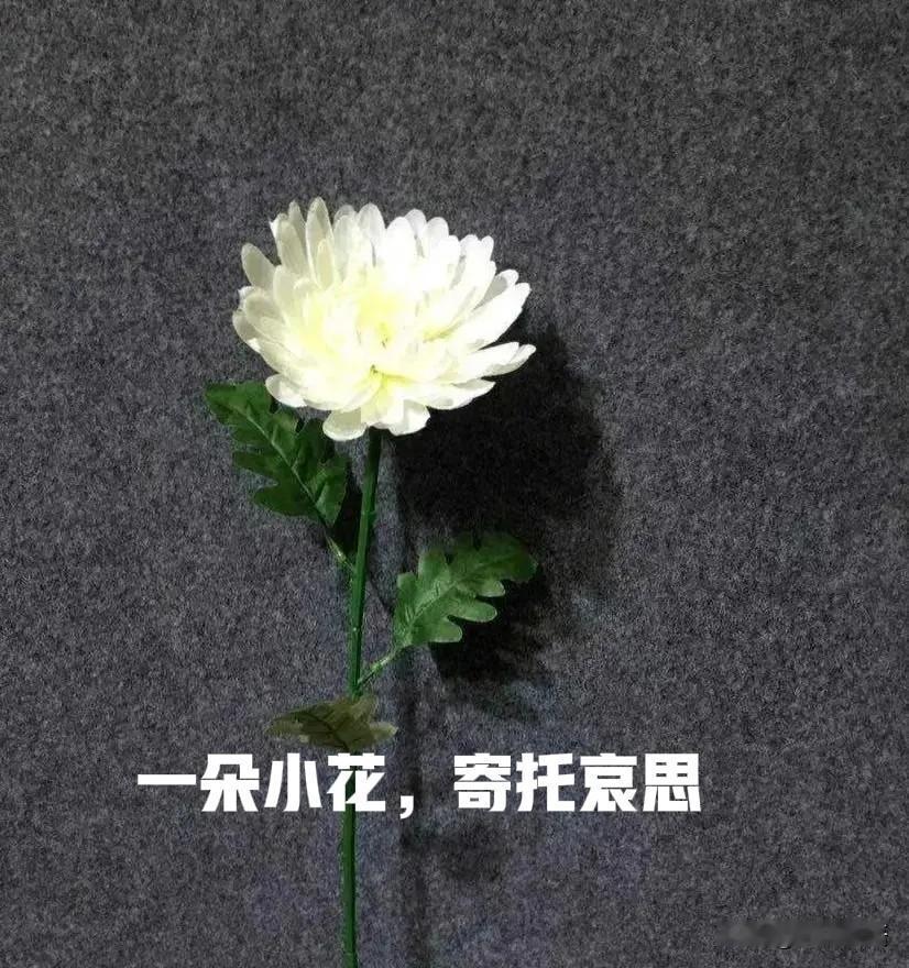 人生无常:高速公路疲劳驾驶，夫妻双双当场身亡，全责

今晚，在简书上，回访一位简
