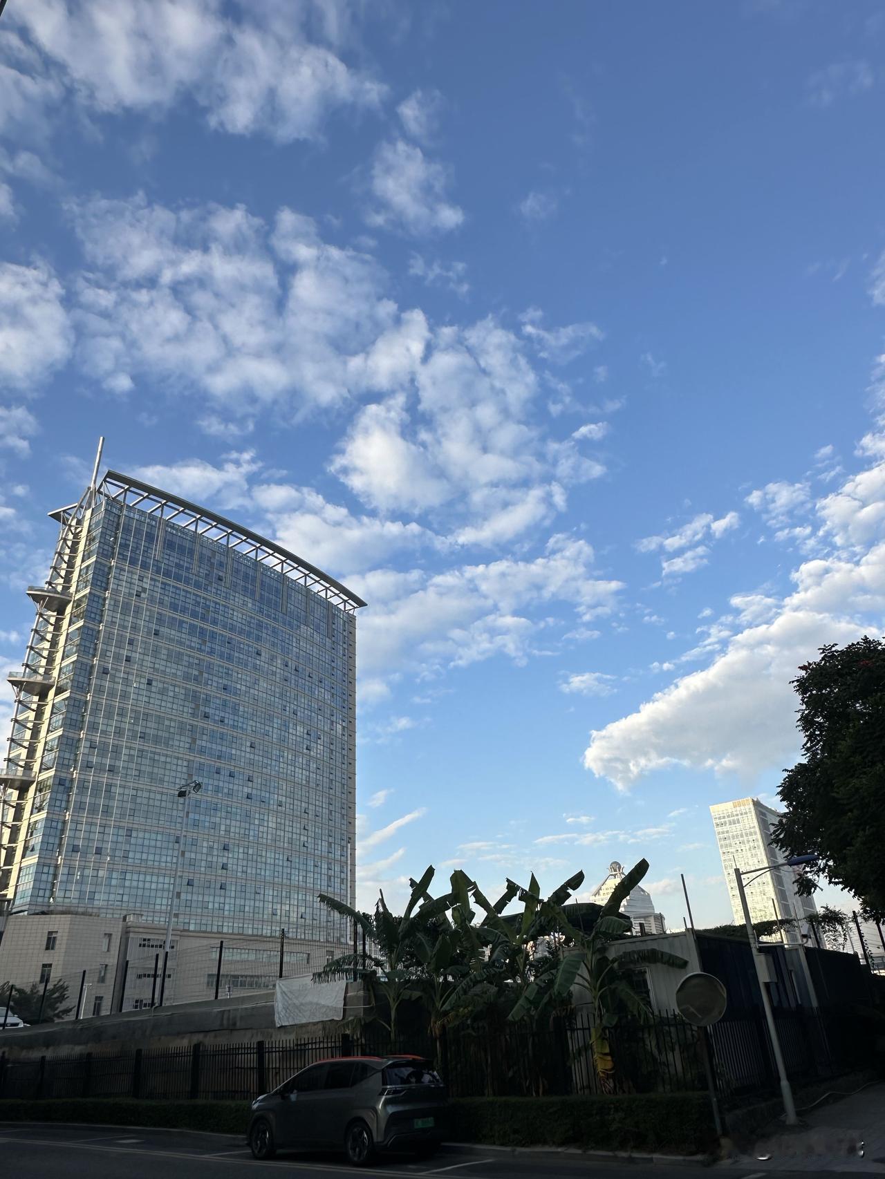 分享一下你随手拍下的照片