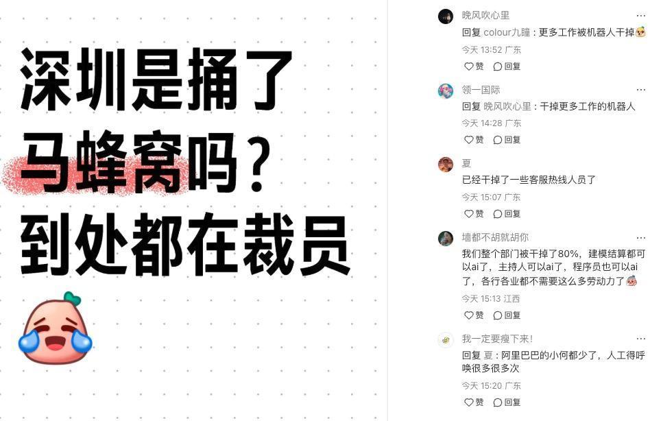 一个在群里活跃的律师，我们说晚上要直播，直播主题「DeepSeek来了，各个公司