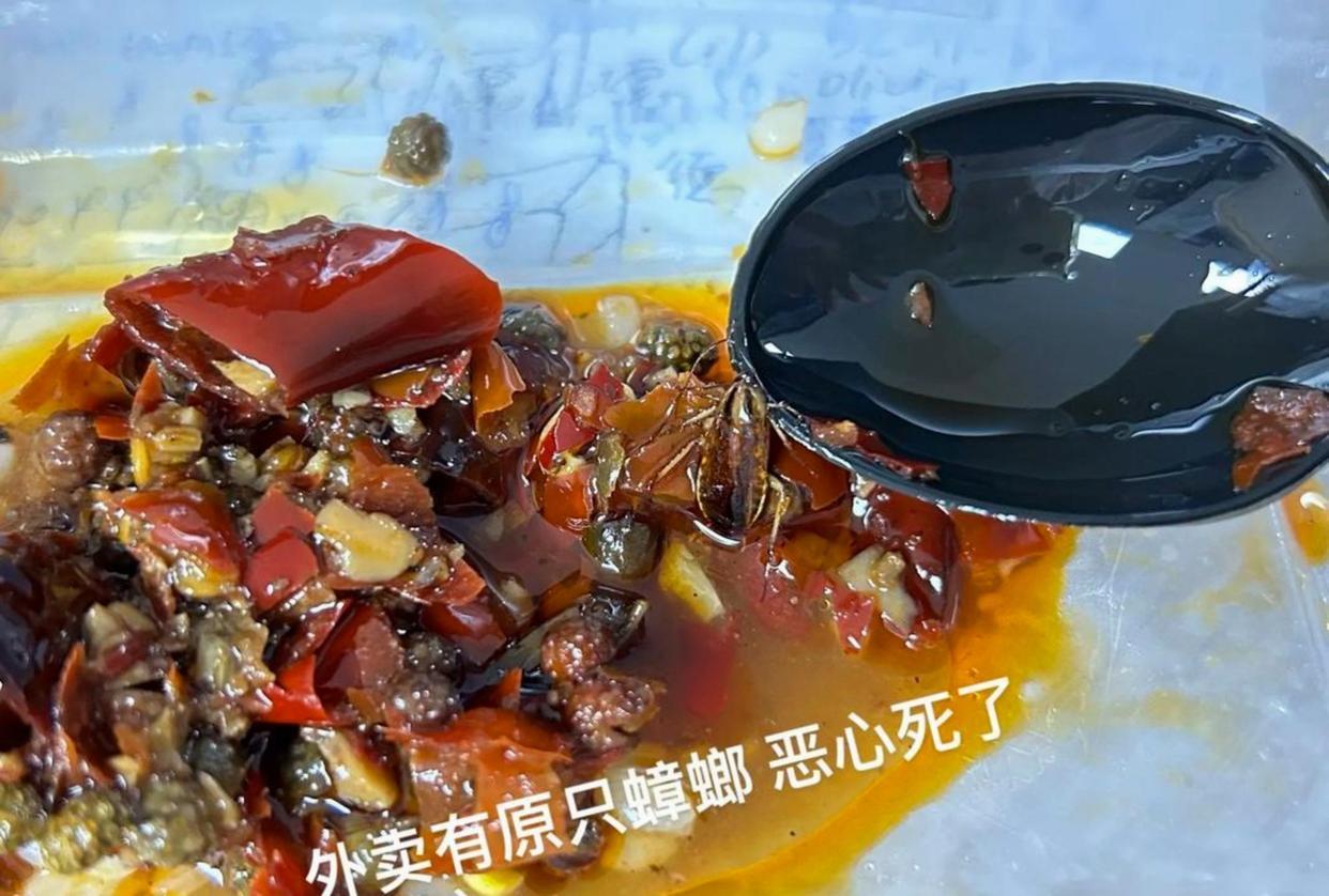 🐛 5天点6家外卖，家家都吃出“蟑螂”？这哪是倒霉，这是把蟑螂当“摇钱树”了！