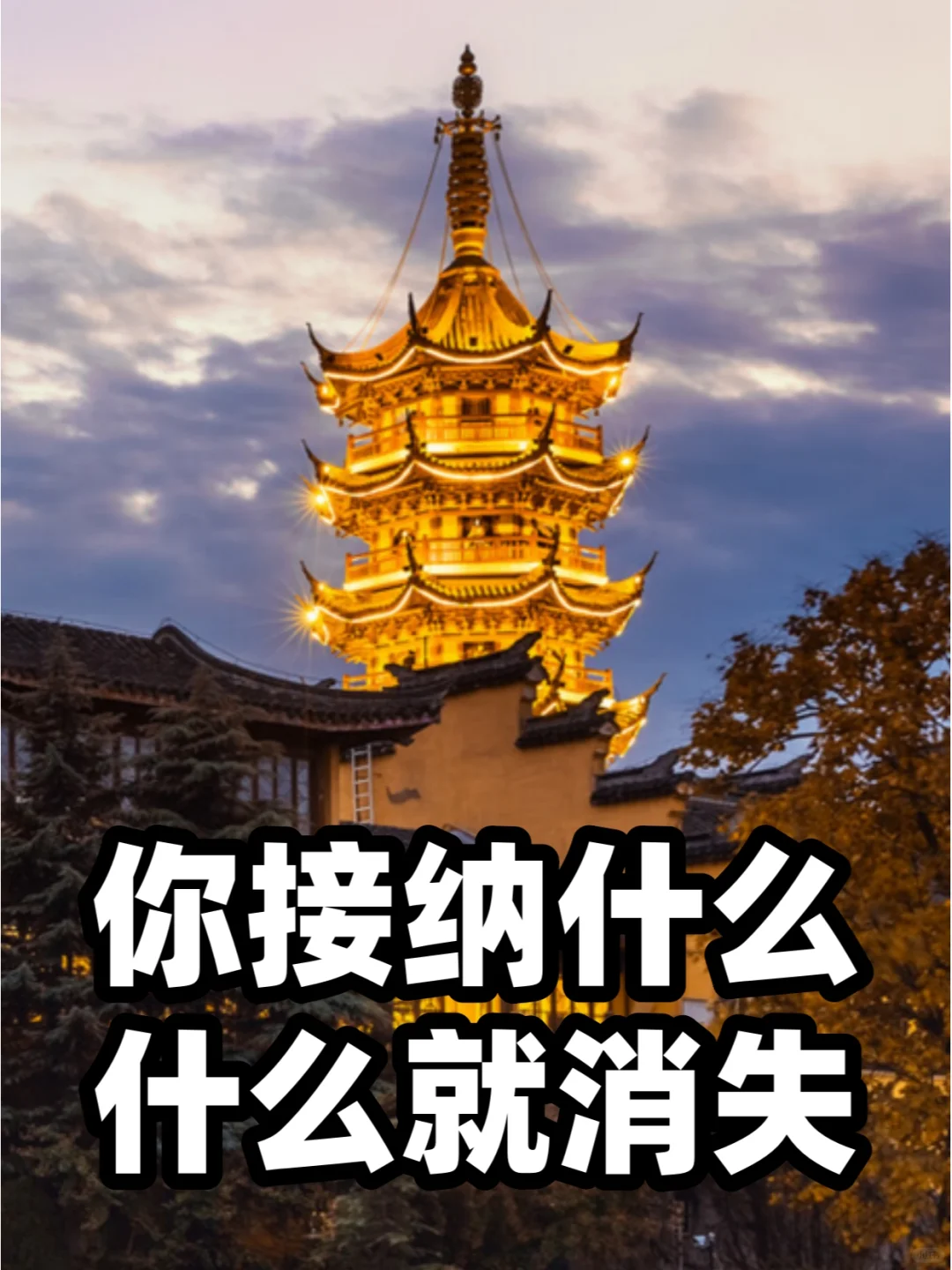 素食10年：你对抗什么，什么就存在