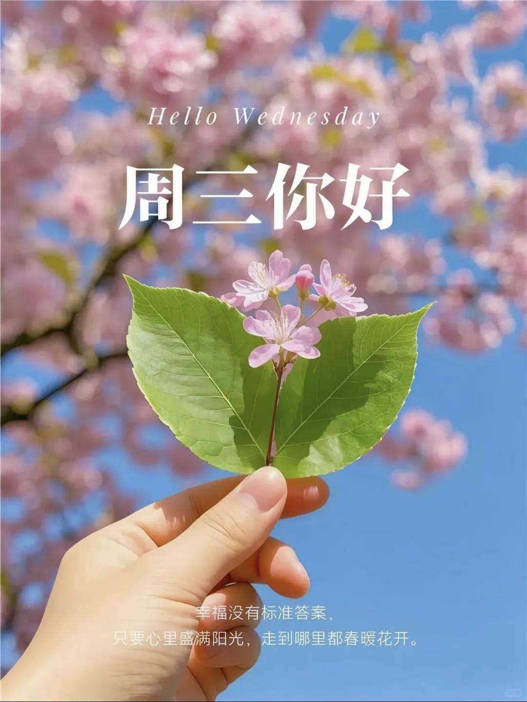 人民日报很有力量的一段话:
当你越来越优秀时，你就开始理解，其实每个人没有好坏，