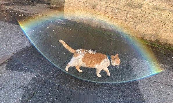 10s内转发 你会好运附体 做什么都会成功  