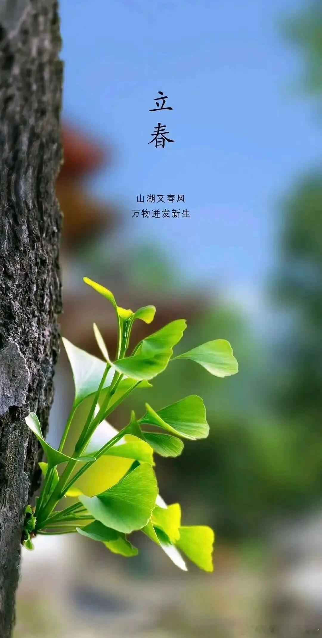 立春。一个好的开始，万物迸发新生！ 