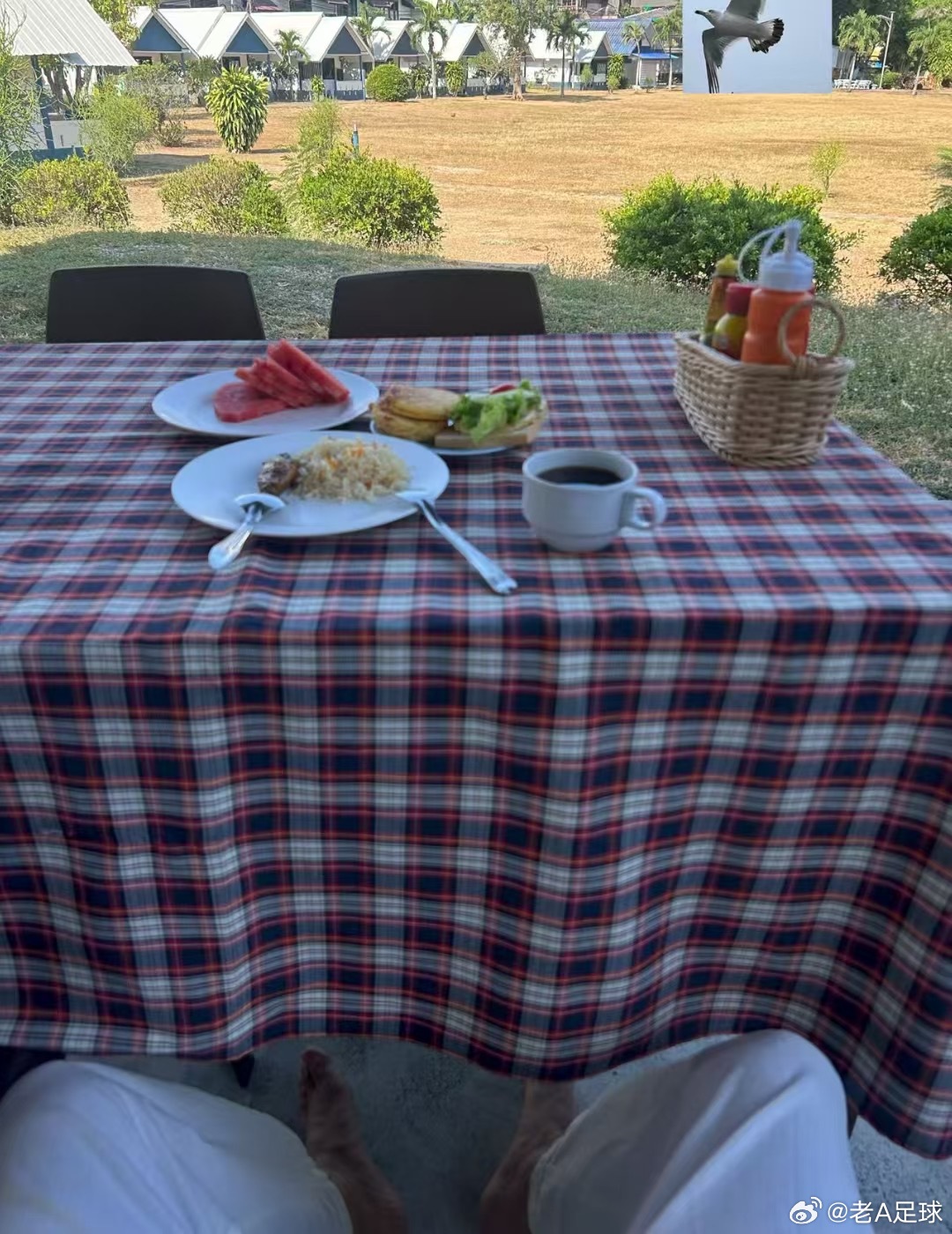 呀呼～ 早睡早起身体棒 