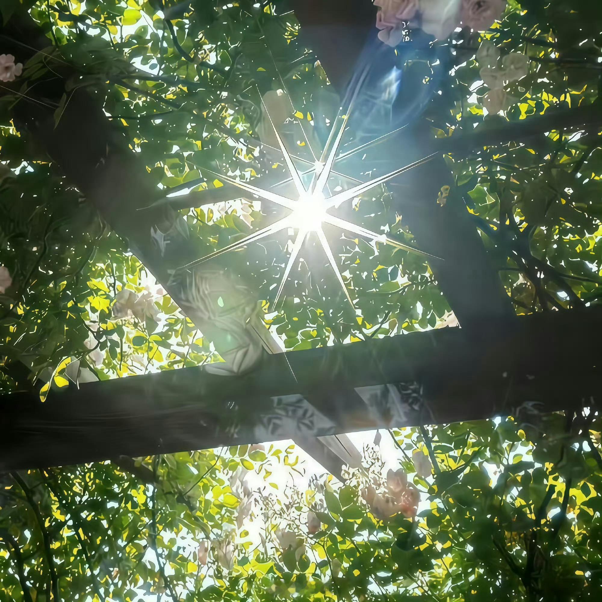 阳光信用  🍊阳光信用 🍊阳光信用斗志和干劲很重要，但更重要的，是不断坚持的