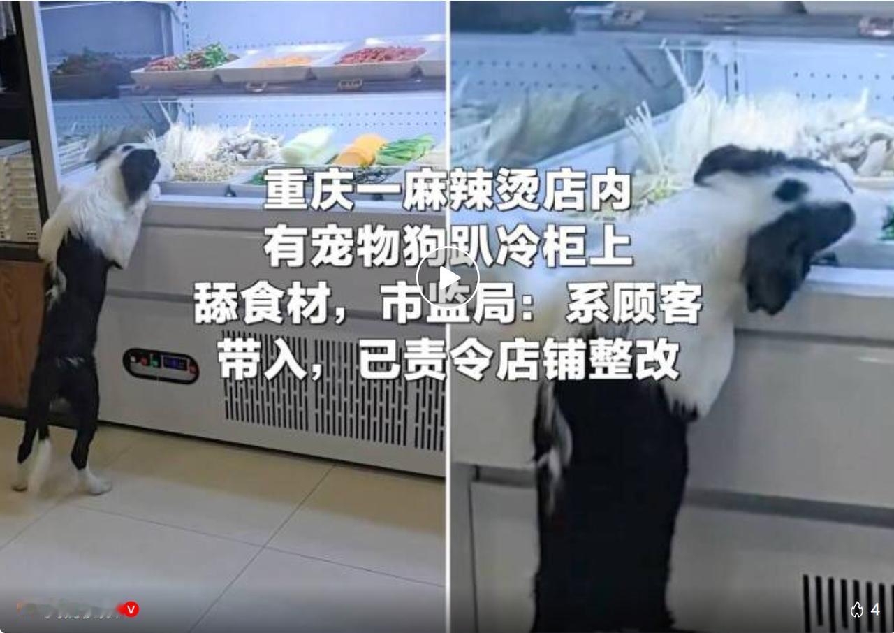 7 月 20 日，重庆奉节县一家麻辣烫门店的监控画面引发全网热议，店内一条宠物犬