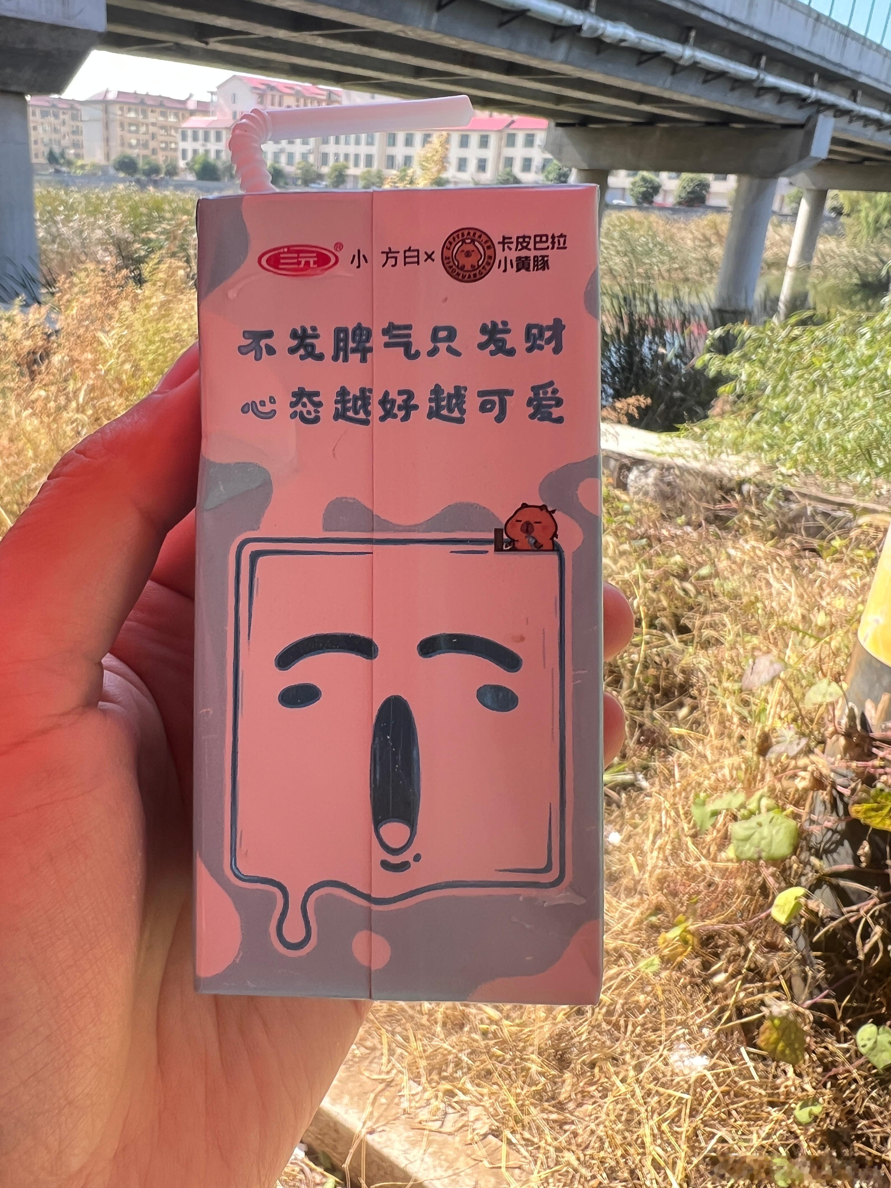 很多家庭，尤其是山东家庭，都有一种所谓的和为贵，大局观。大家都为了维护一种表面的