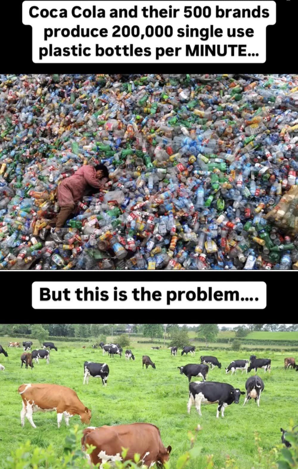 这张图片展示了一个对比，旨在揭示环境问题。上半部分展示了大量的塑料瓶堆积如山，并