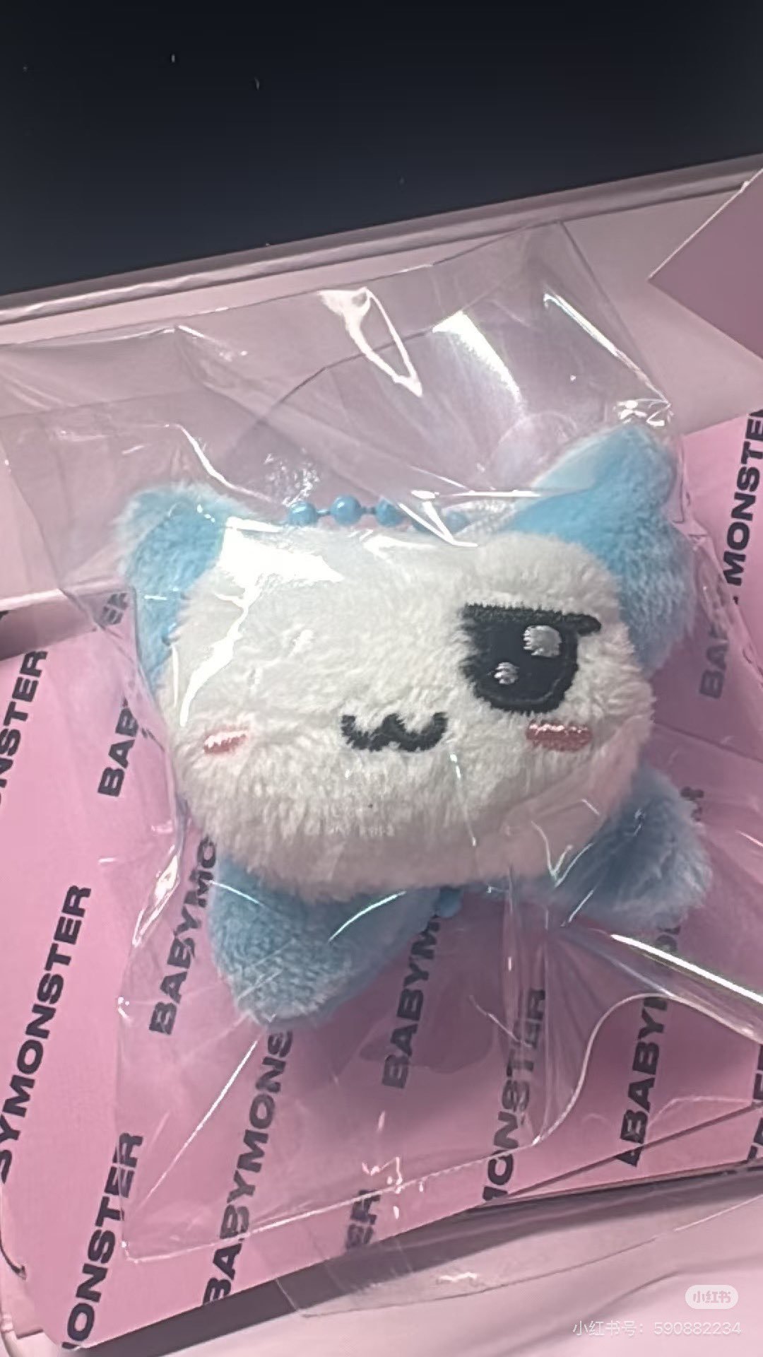 我要被这个没有眼睛的衔蝶猫笑死了加勒比海盗船长猫Ver. 