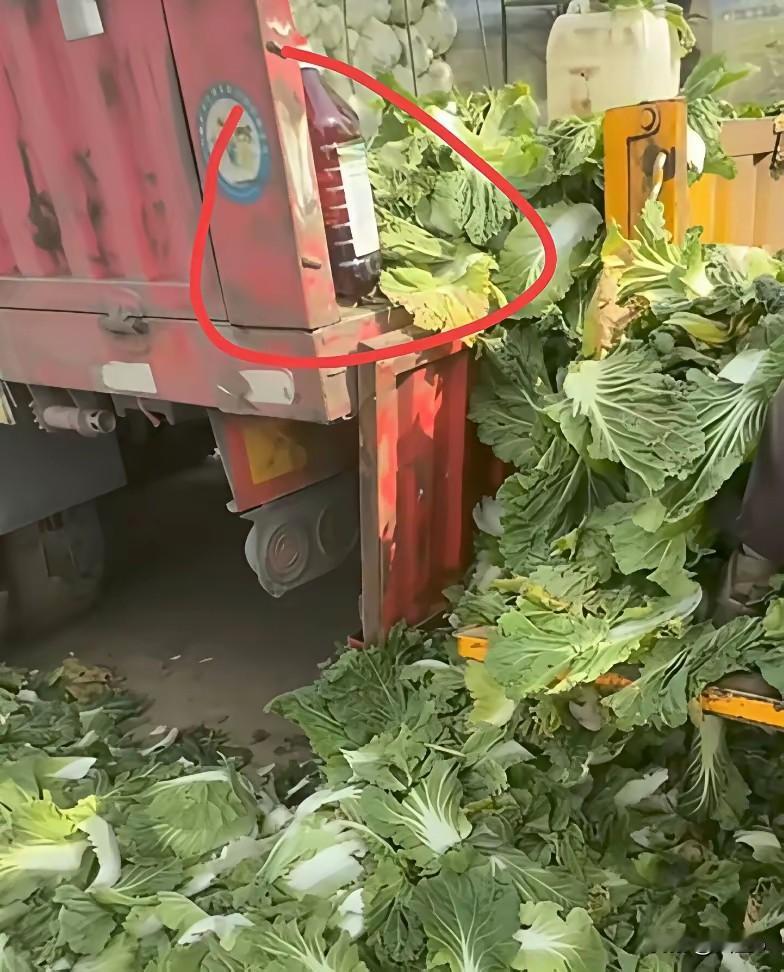 家家户户经常买的大白菜，居然拿装修用的一类致癌物甲醛蘸根部保鲜，看完很多人心里直