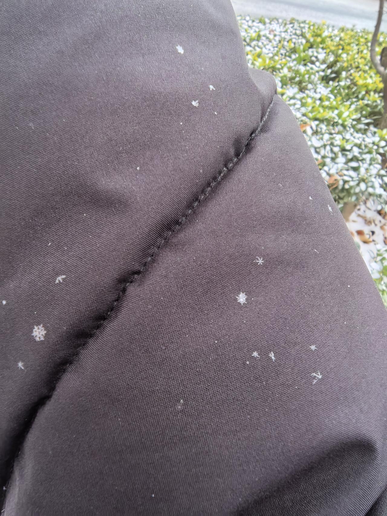 “妈妈，快看啊。雪花怪不得要叫雪花呢，还真是一朵朵雪做成的花。也太漂亮了吧。”