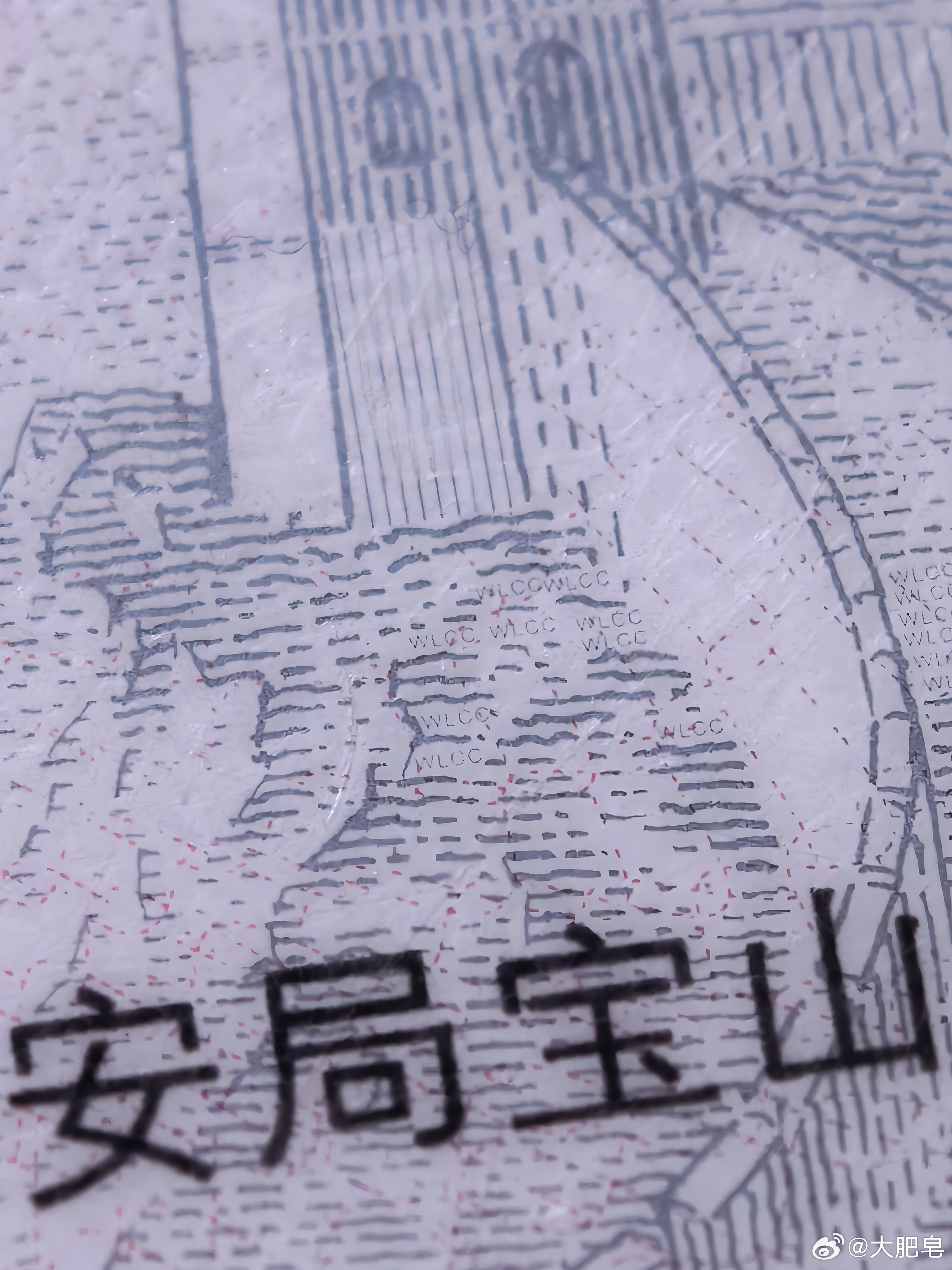 手机放大身份证竟藏微缩字母  这是真的，我之前还没注意过，用手机打开长焦微距就能