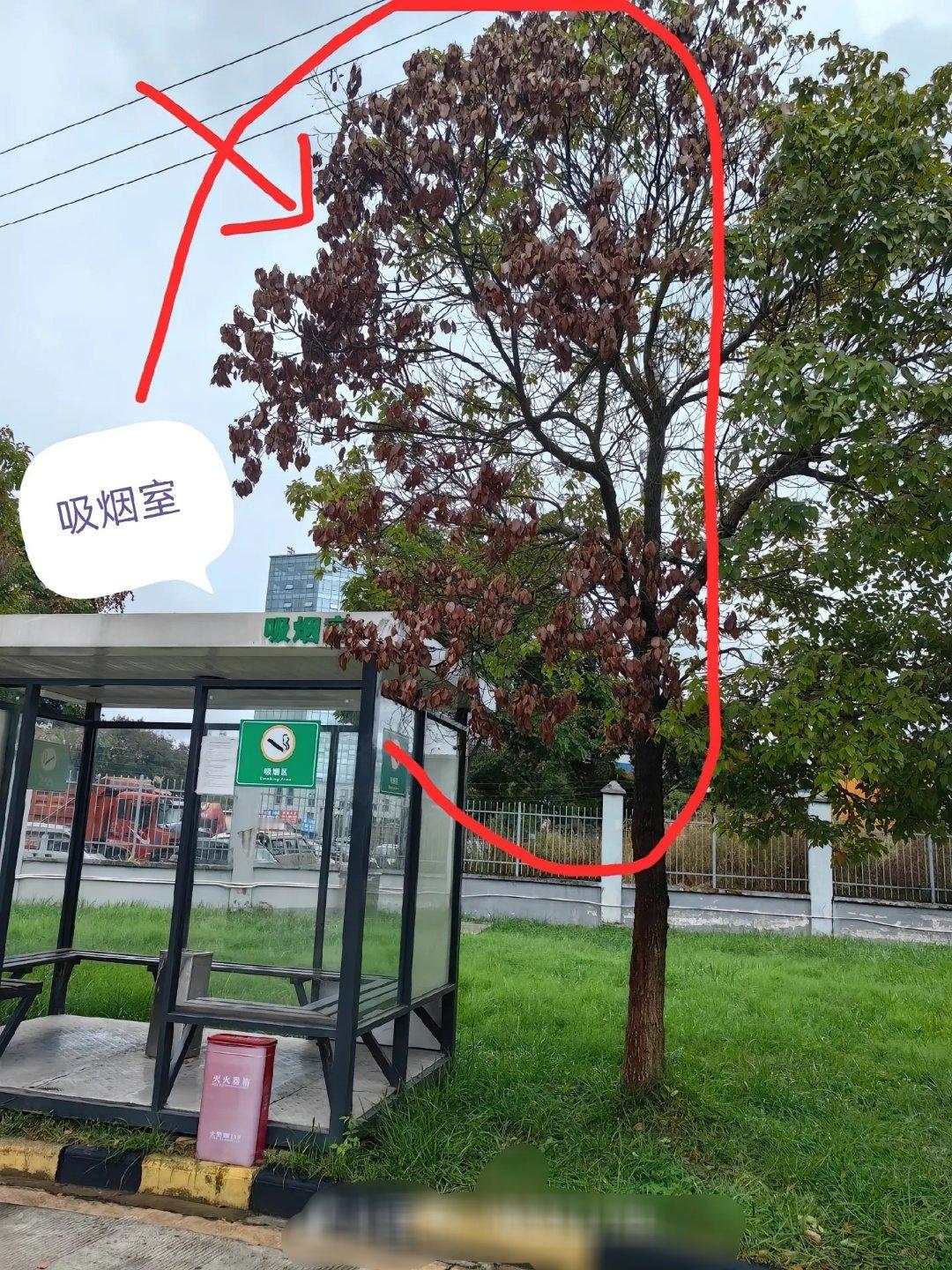 吸烟真的有害健康 ​​​
