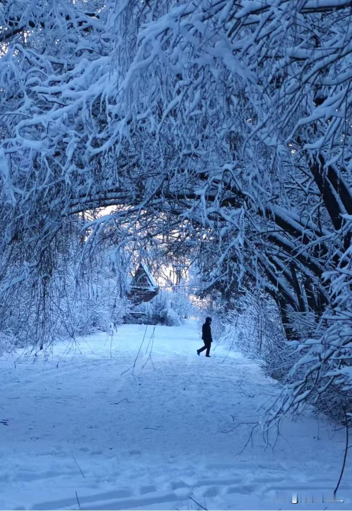 东北千里冰封，整个大地都被冰封住了，展现东北冬季的辽阔与壮观