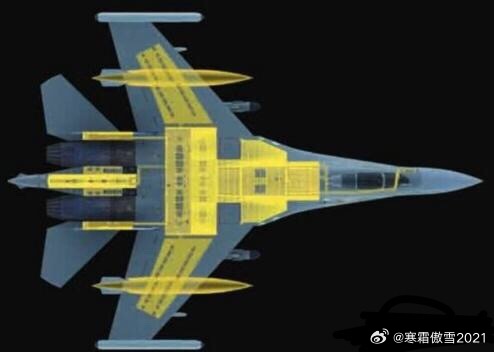 日耳曼赢学每天认识一件兵器 简氏防务周刊鸡血打多了➡️Janes（图1）居然认为