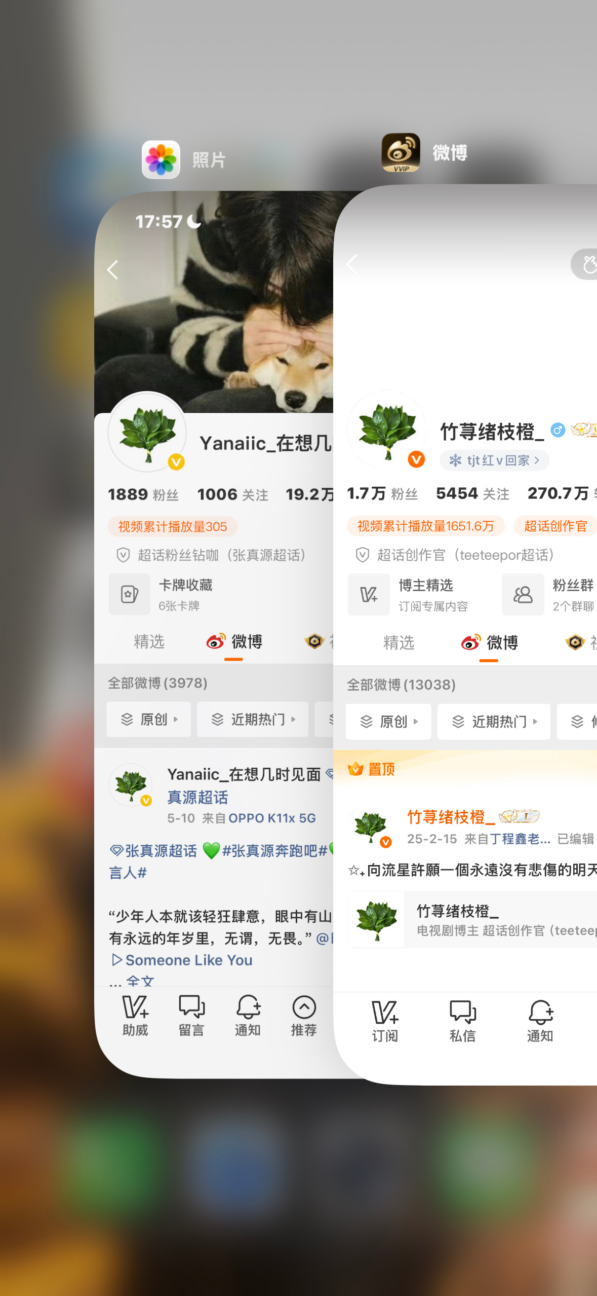 动动（去晦气版 