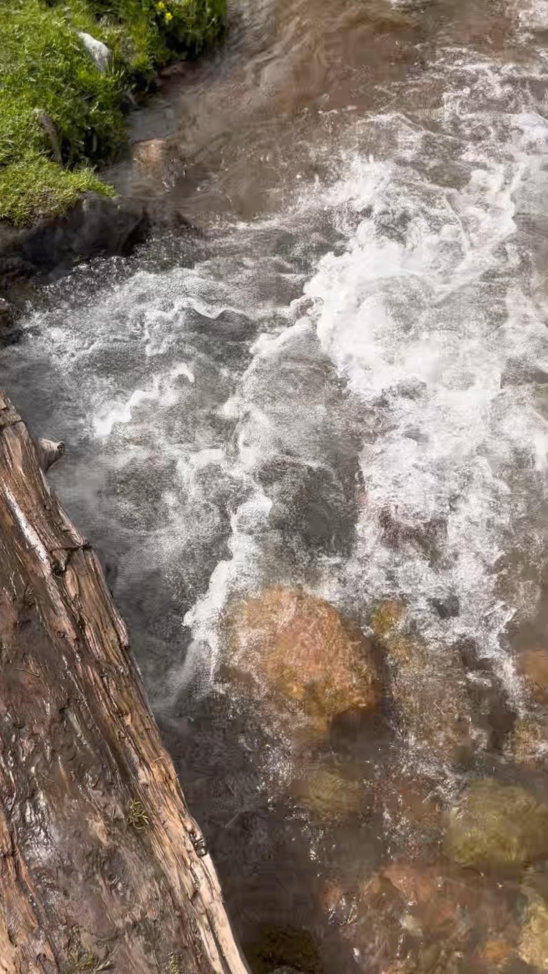 平民子弟想要打破阶层和信息差壁垒 唯一的选择就是背井离乡 小地方的婆罗...