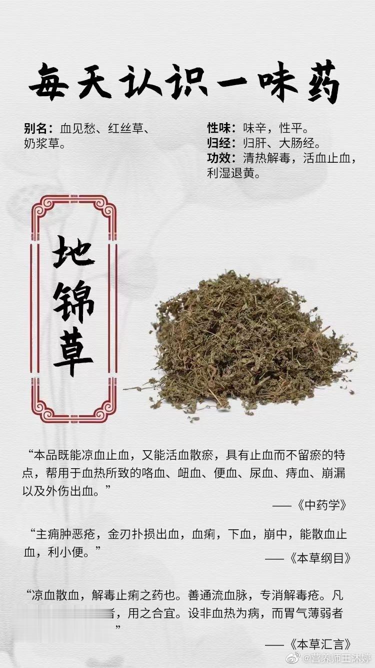 #国医的精诚力量##每天一味中草药##论道岐黄# ☘️【每天认识一味药】    