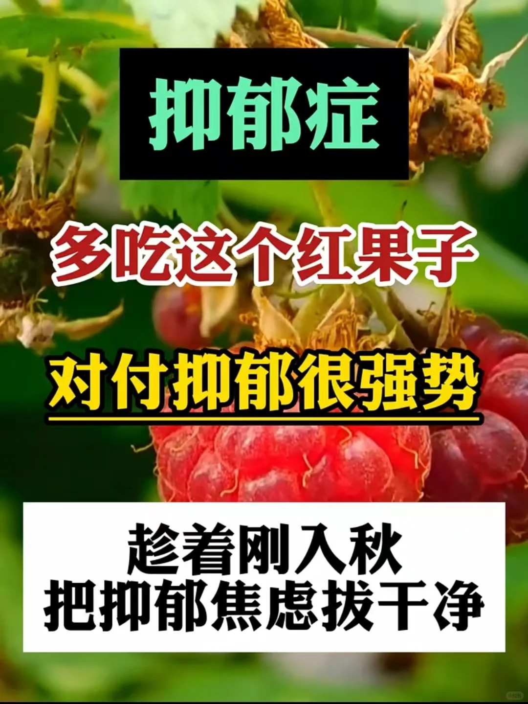 抑郁症多吃这个红果子，对付抑郁症很强势，趁着刚入秋把抑郁焦虑拔干净！ ...