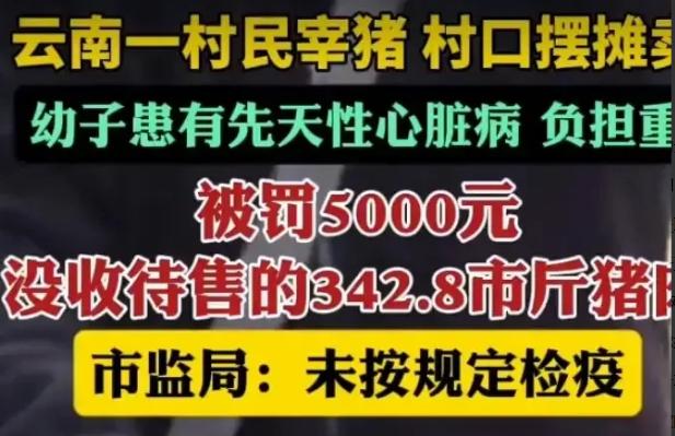 云南文山，一女子为了给生病的孩子买药，购买一头毛猪，在家中屠宰后在村口售卖。结果