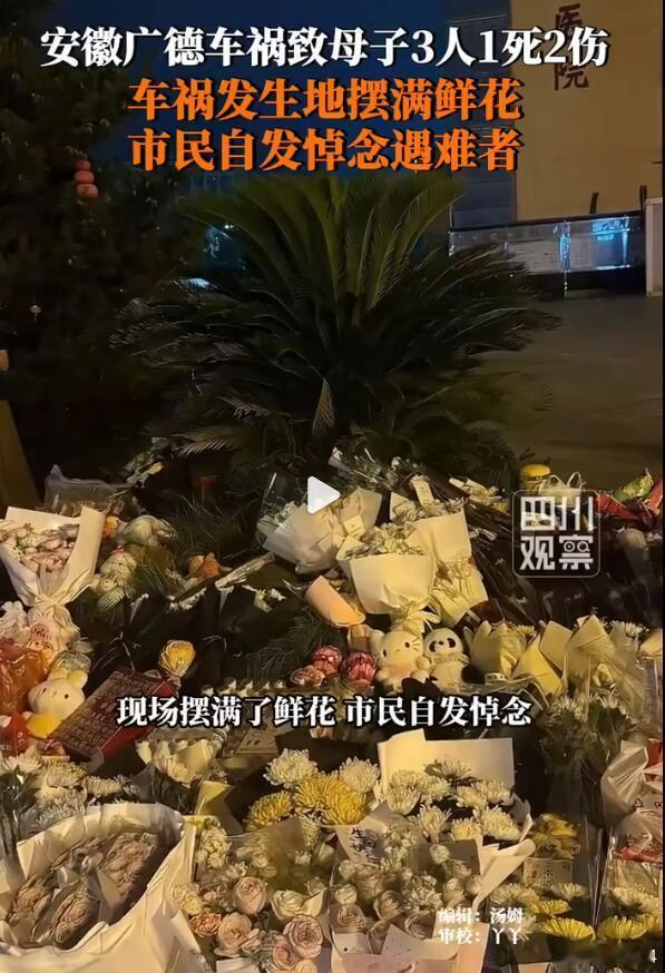 好好好，大学生掏个鸟窝都得判10年徒刑，这开车失误导致1死2重伤，难道只是3年以