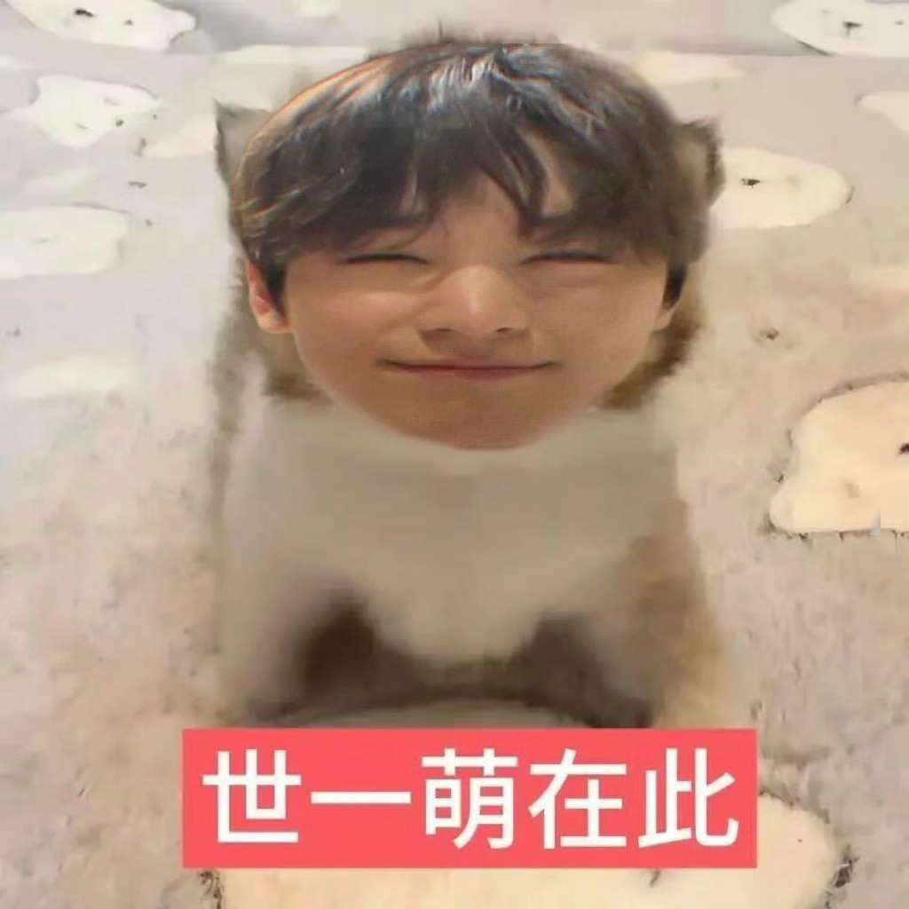 李猪圆 滚粗奶丸