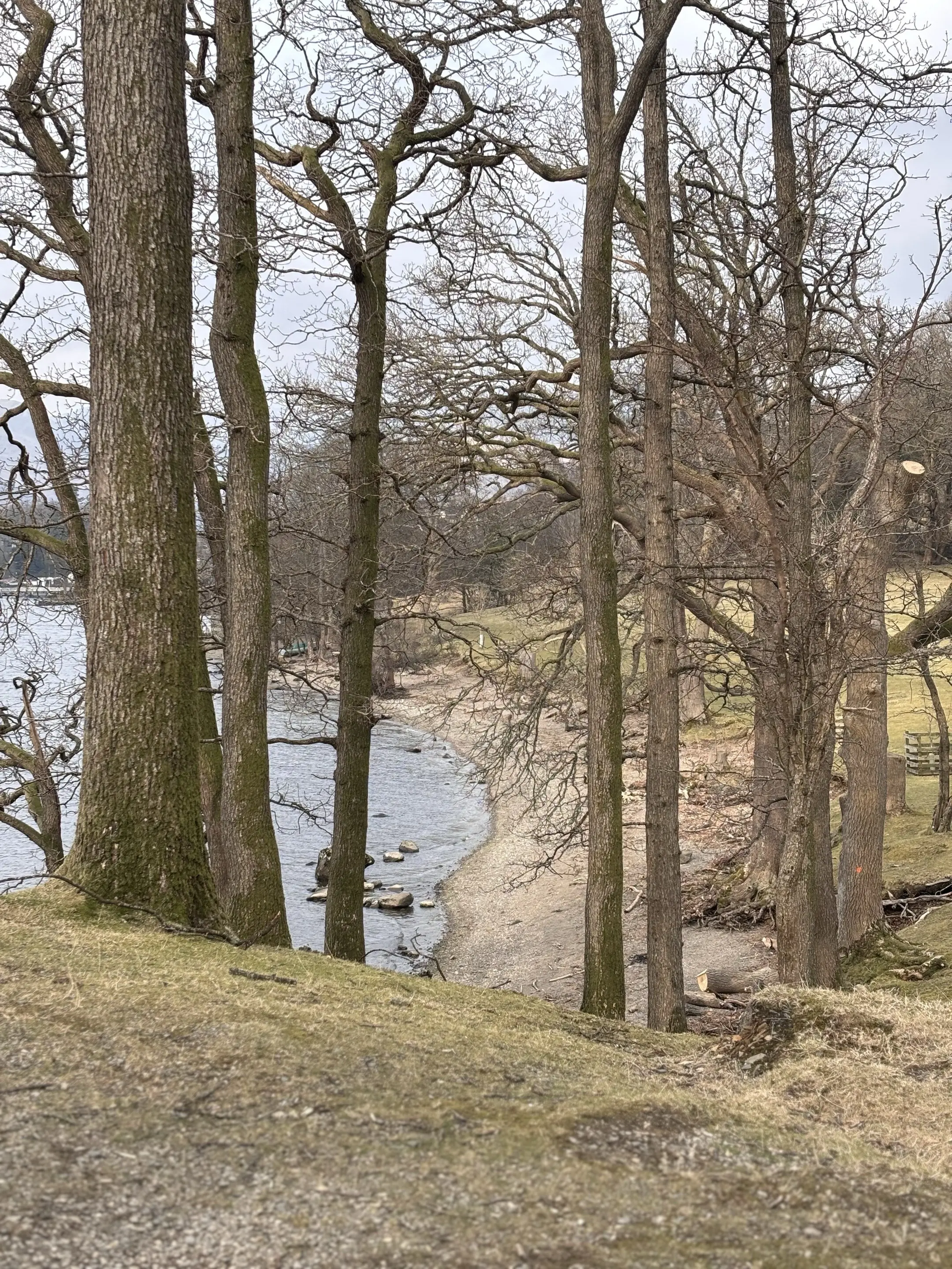 “拍拍身上的泥土，继续前行。希望你也可以。”