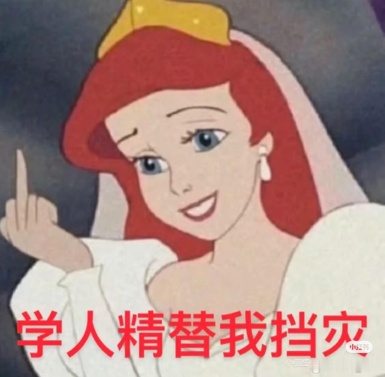 学人精、抄袭怪，请离我远一点儿真晦气！我甚至都不讨厌黑粉，因为很多时候黑粉其实只