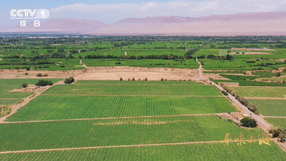 10颗葡萄干里9颗来自吐鲁番吐鲁番有500余种葡萄干吐鲁番的甜蜜秘诀，藏在古老的