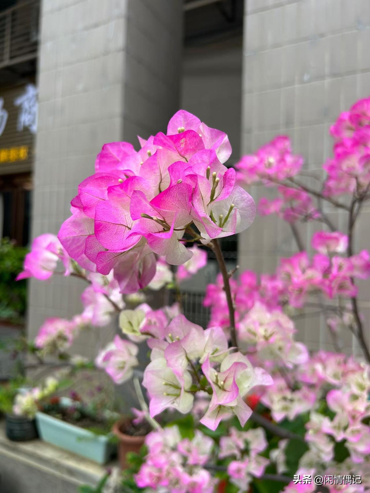 被杨绛先生的这段话给戳到了:

“这个世界上从来没有感同身受，你可以消沉，也可以