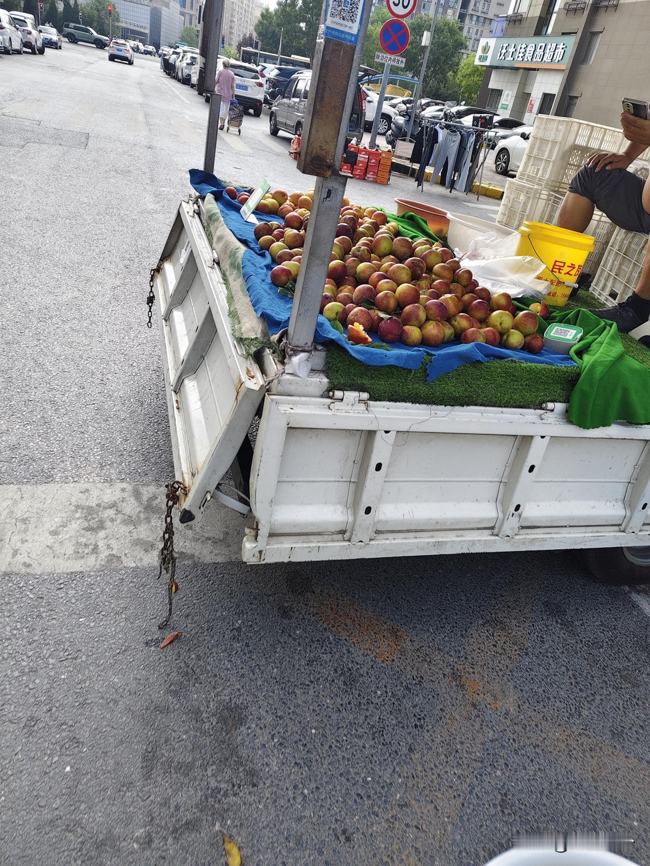 今年大连也不知道哪来的这种稀奇品种紫皮大李子，叫什么不知道肯定不是大红袍买过一次