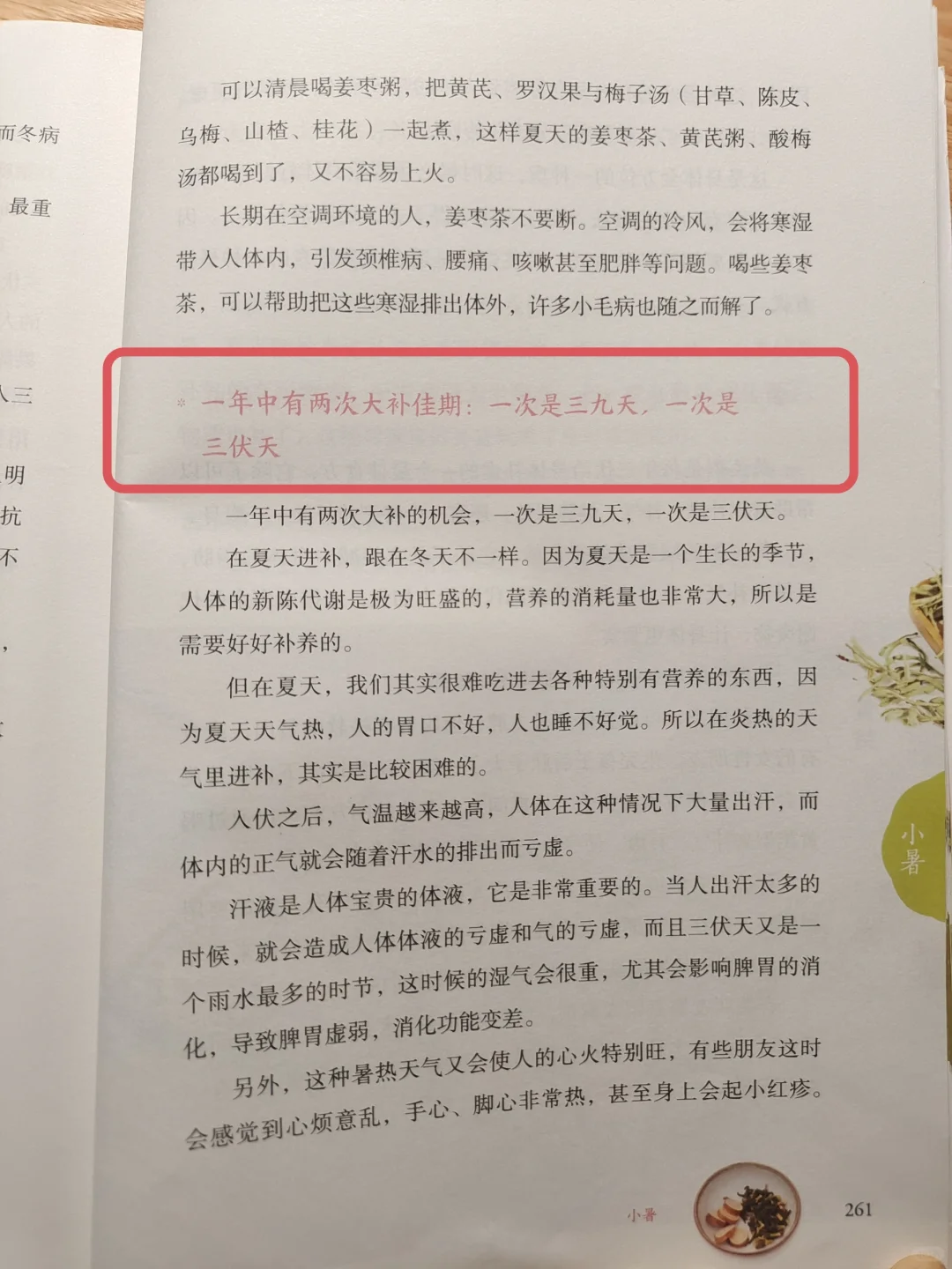 陈允斌老师——三伏天，大补的好时机🔥