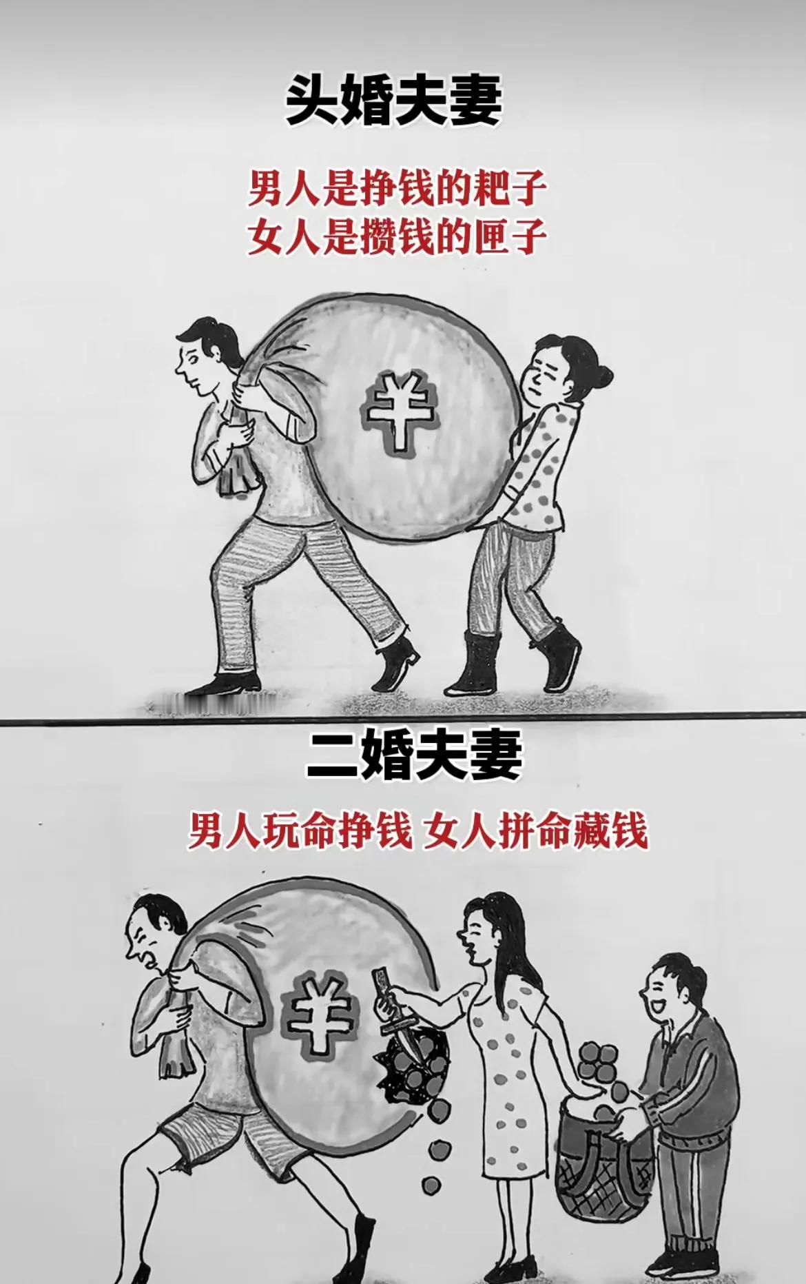 你能看懂多少‼️真的能看懂‼️