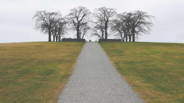 深圳男篮本赛季的目标是什么深圳男篮25-26赛季：锁定前四，剑指总冠军