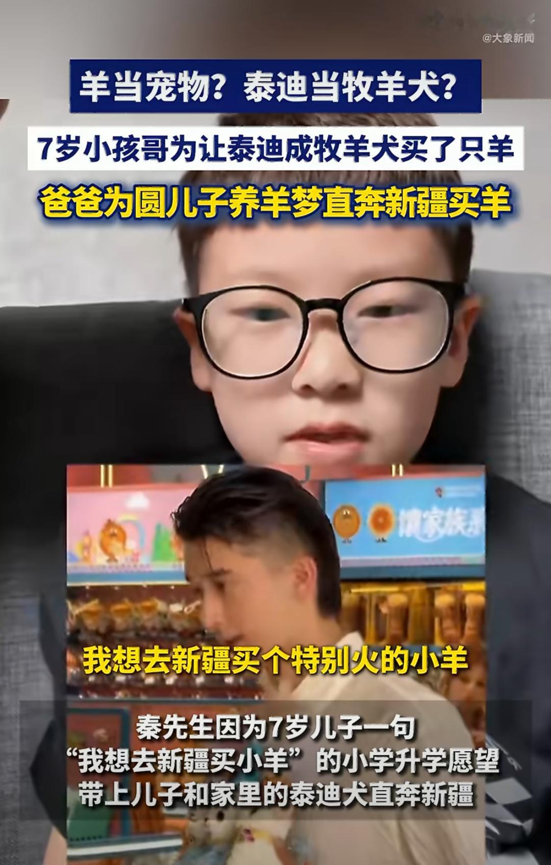 7岁小孩哥为让泰迪成牧羊犬买了只羊新疆一位7岁男孩为了实现“让家里泰迪当牧羊犬”