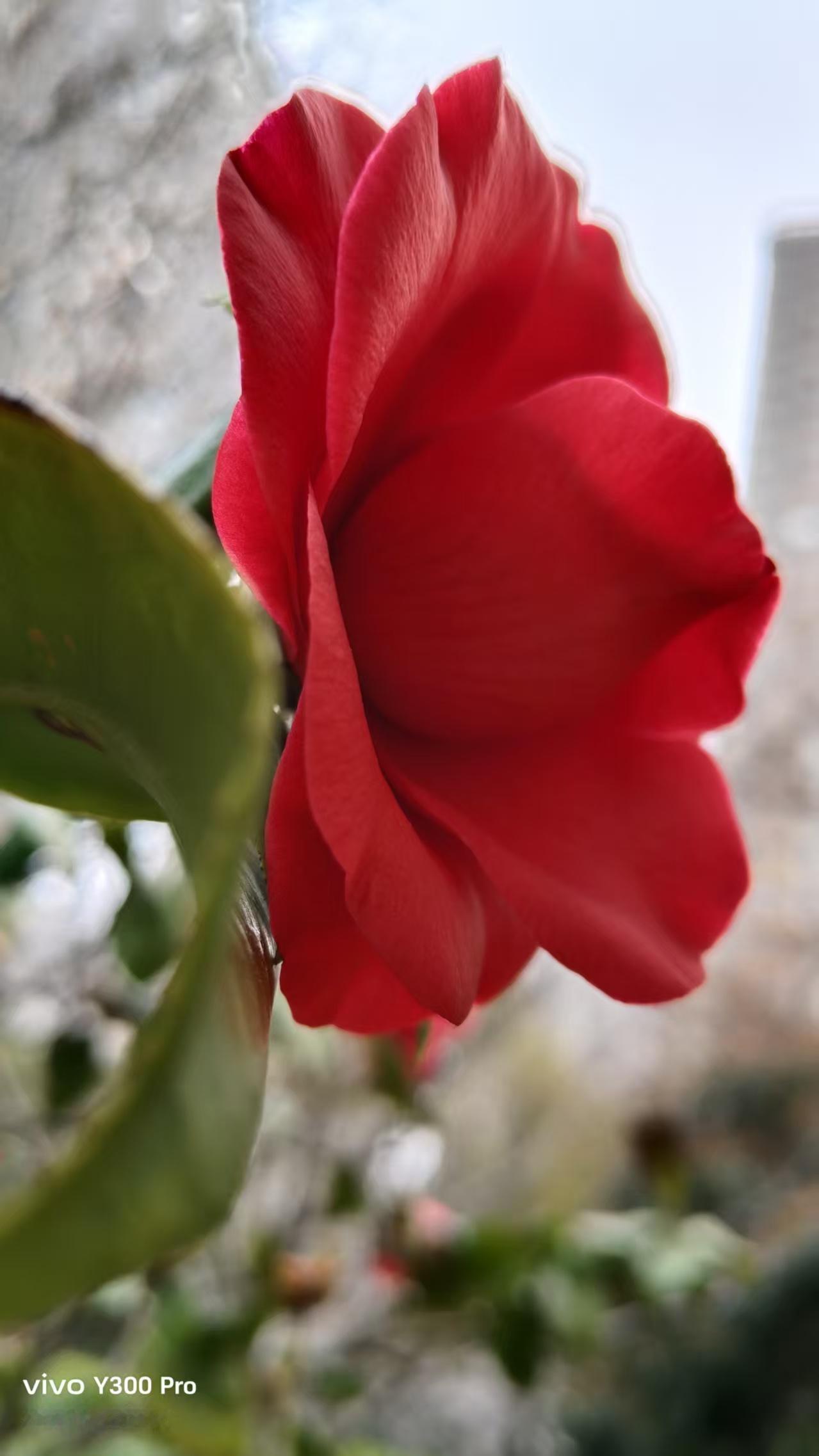 股票这东西真难琢磨，前天大涨，昨天又跌，今天又快上4000点了，就这么上下的忽悠