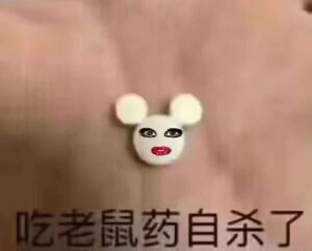 我本来就已经是单休了，结果这周日会考搬猪人要陪考，直接连上十三天班，哈哈哈我日你