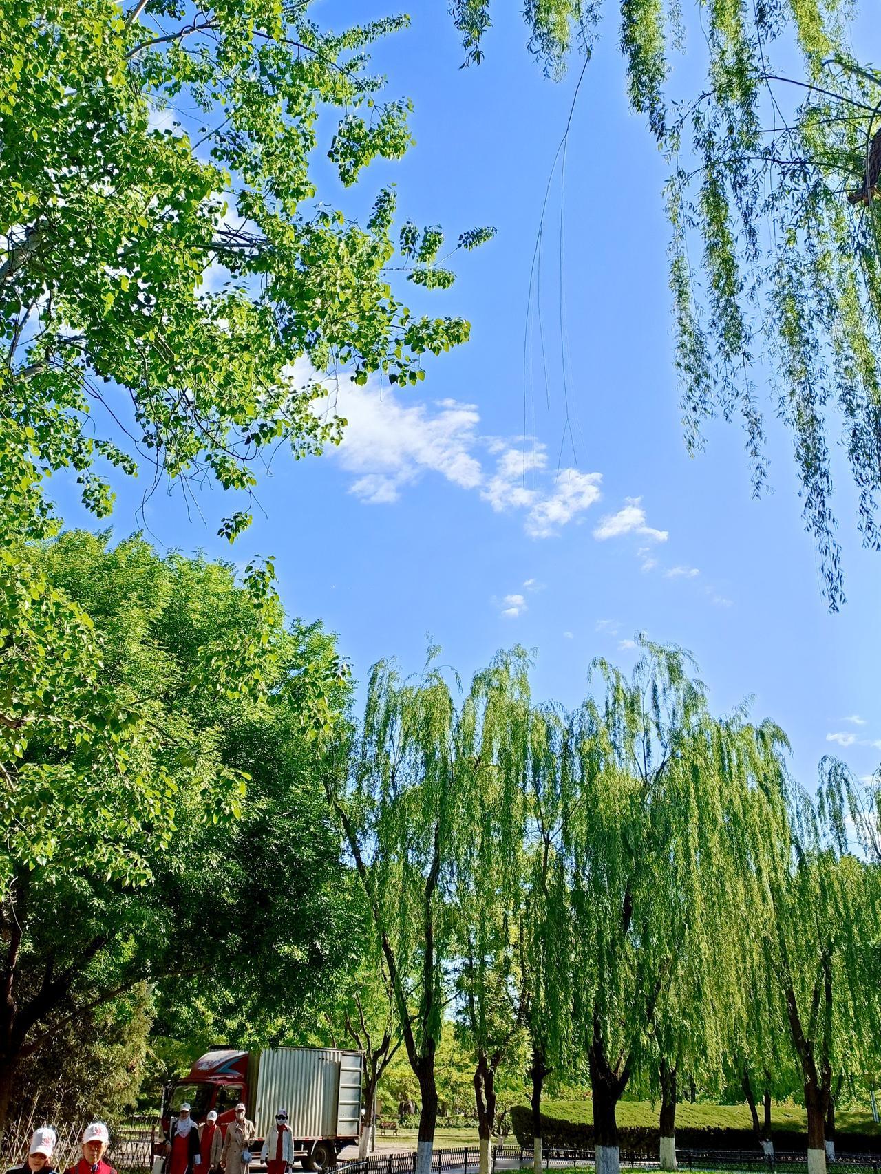 谢谢天在帮，所有人都在帮，我会越来越好