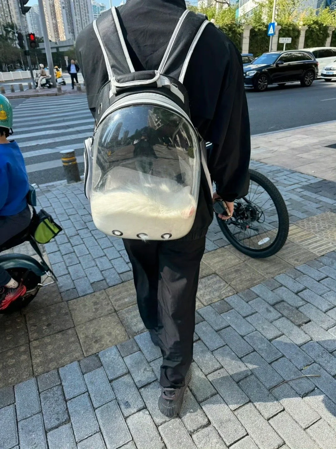 哥们儿，你的猫好像化了