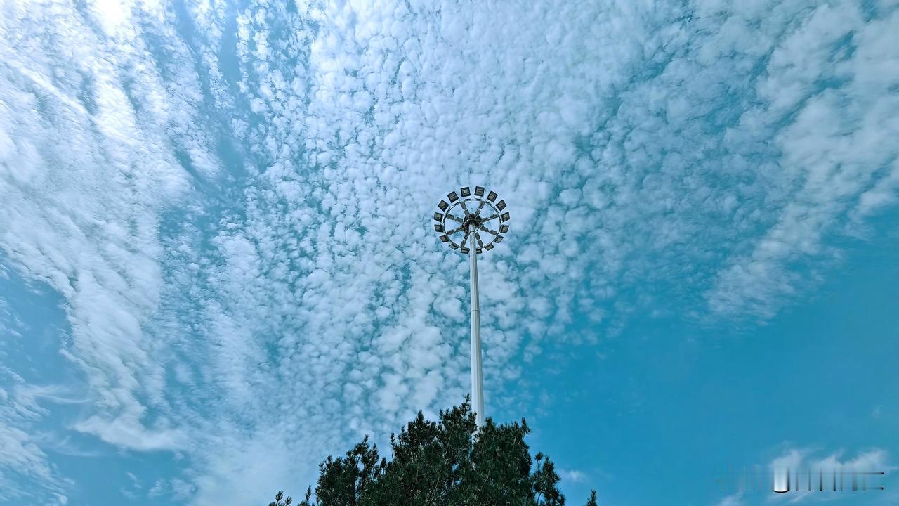 秋日生活打卡季秋高气爽，蓝天白云之下的路灯高耸入云，呈现出壮观的画面。