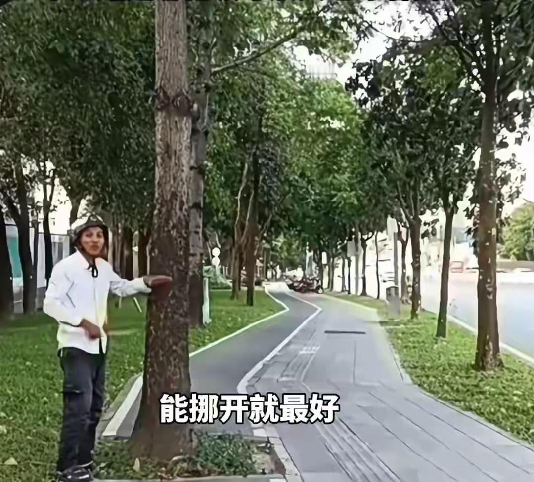 深圳“听劝式治理”获赞 市民反馈问题件件高效落地
 
深圳的“治理速度”近期引发