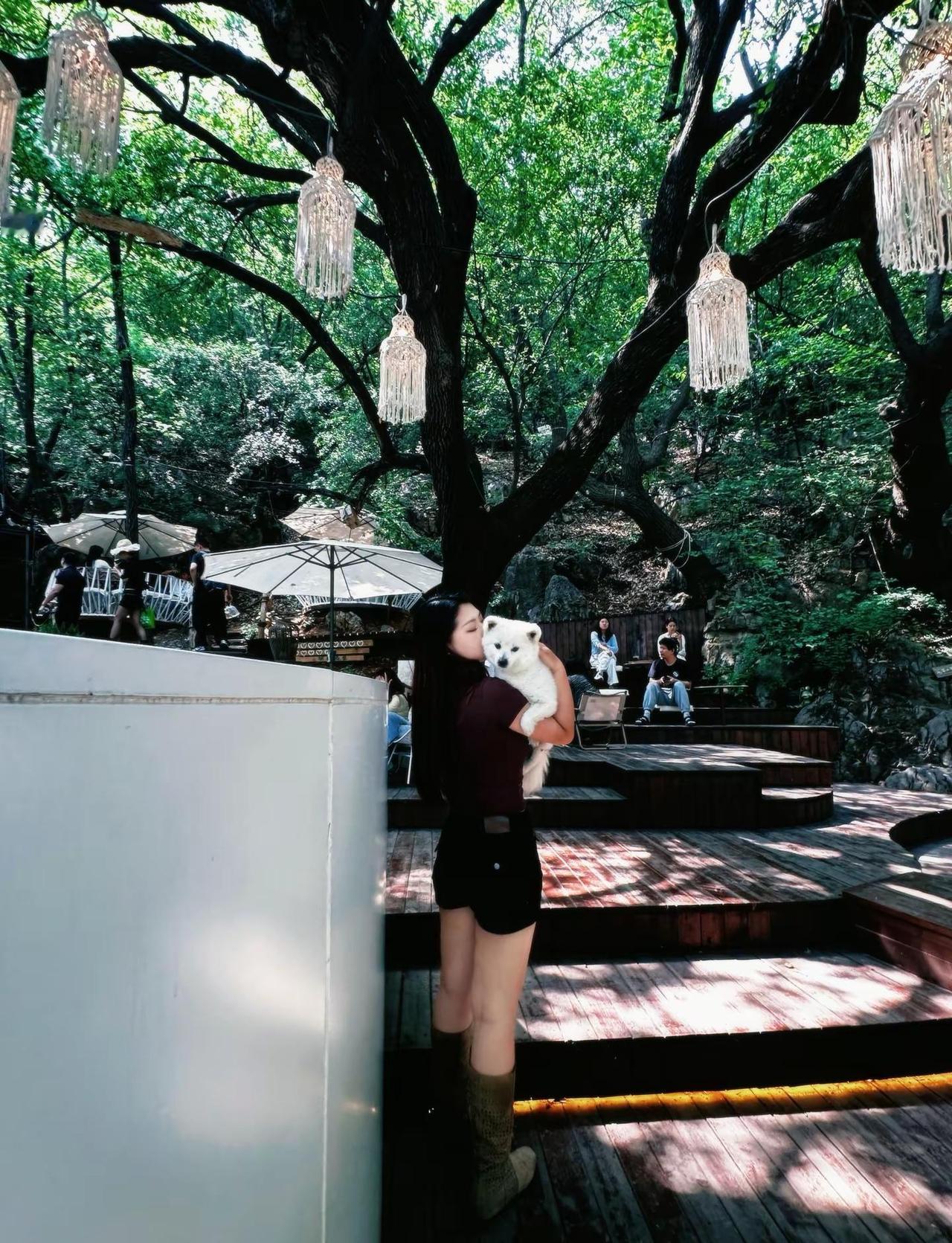 以最大的平静去爱不确定的生活森林氧吧ootd 椿岛树屋_