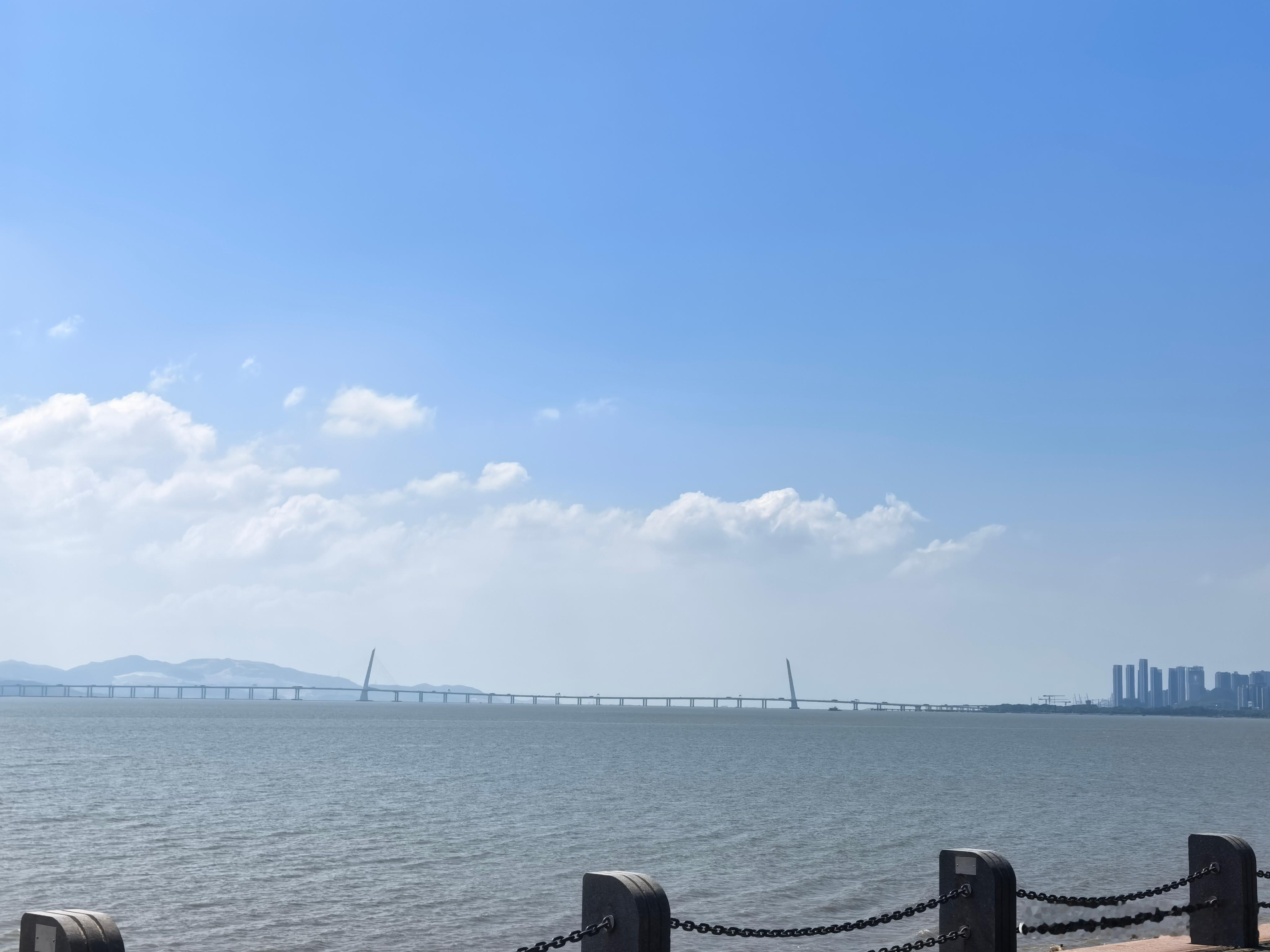 我们总想清风佐酒，却难以驾驭酒的辛辣，也压不住游龙有悔的清冽！深圳生活记录  ​